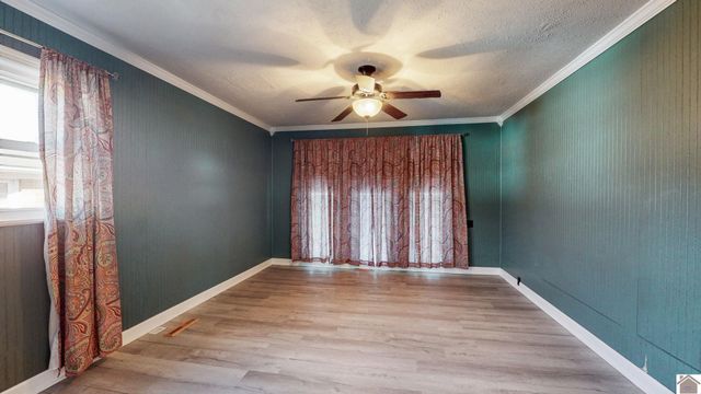 1203 S 12th Street, Mayfield, KY 42066