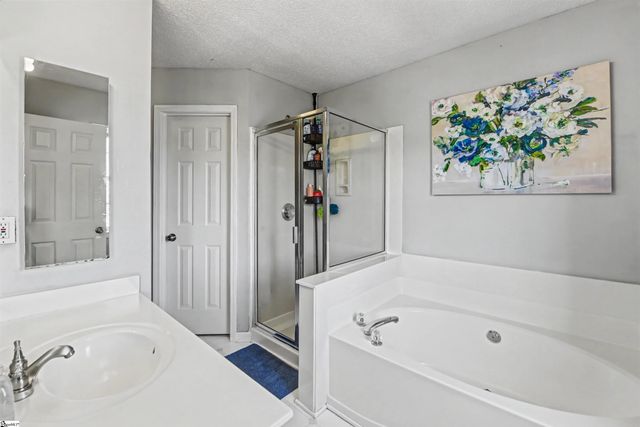 513 Omniwood Court, Greer, SC 29651