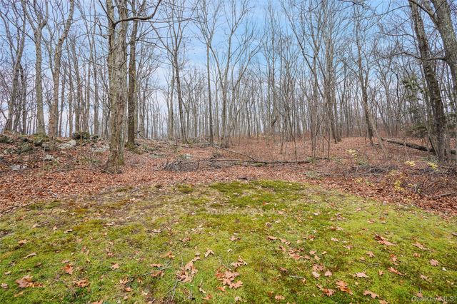 272 Van Wyck Lake Road, Fishkill, NY 12524