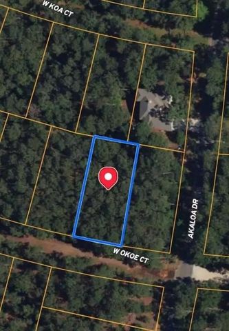 0 Okoe CT, Bastrop, TX 78602
