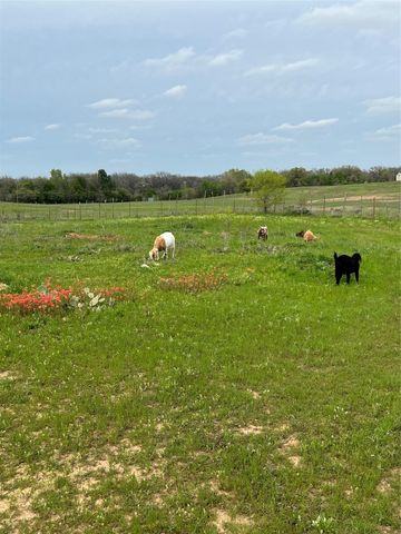 316 County Road 458, De Leon, TX 76444