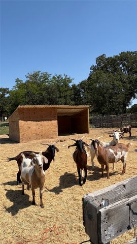 316 County Road 458, De Leon, TX 76444