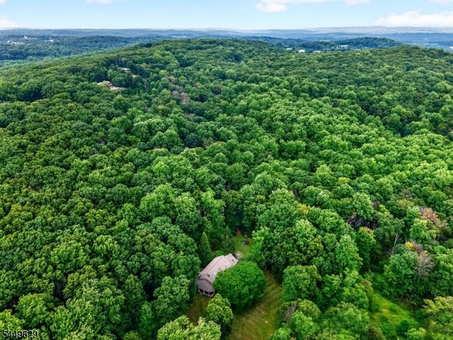 103 Old Driftway Ln, Tewksbury Twp., NJ 08833