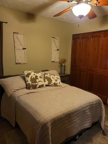 19650 N Pisque Lane, Woodlawn, IL 62898