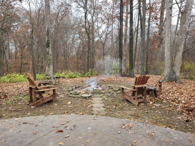 19650 N Pisque Lane, Woodlawn, IL 62898