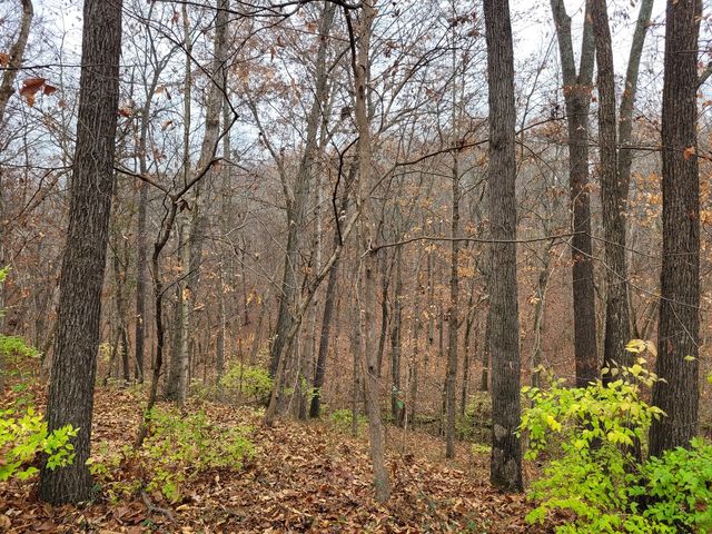 19650 N Pisque Lane, Woodlawn, IL 62898