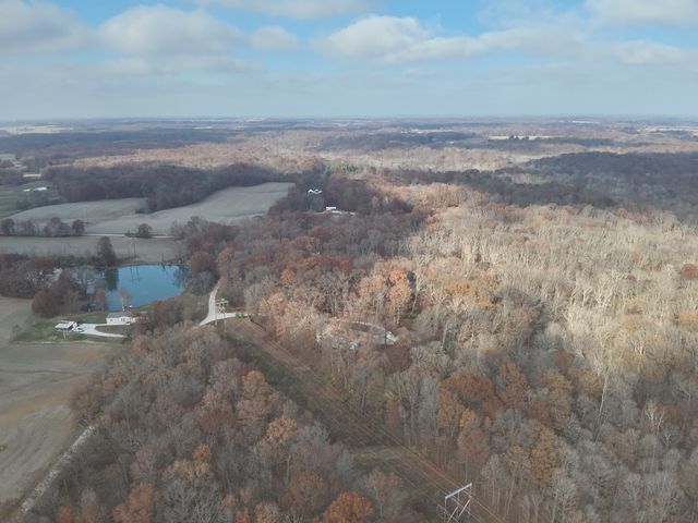 19650 N Pisque Lane, Woodlawn, IL 62898