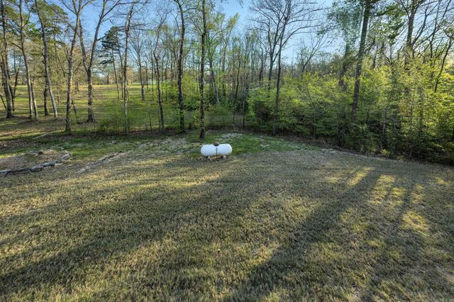 13033 Avilla Hills Cove, Alexander, AR 72002