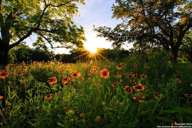 5785 Companion, Bulverde, TX 78163