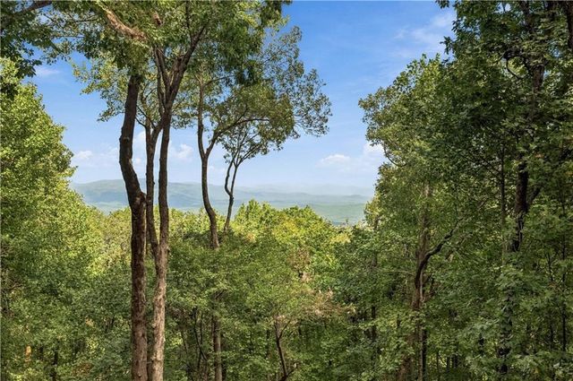 411 Sanderlin Mountain Drive S, Big Canoe, GA 30143