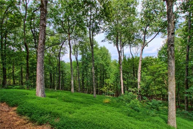 411 Sanderlin Mountain Drive S, Big Canoe, GA 30143