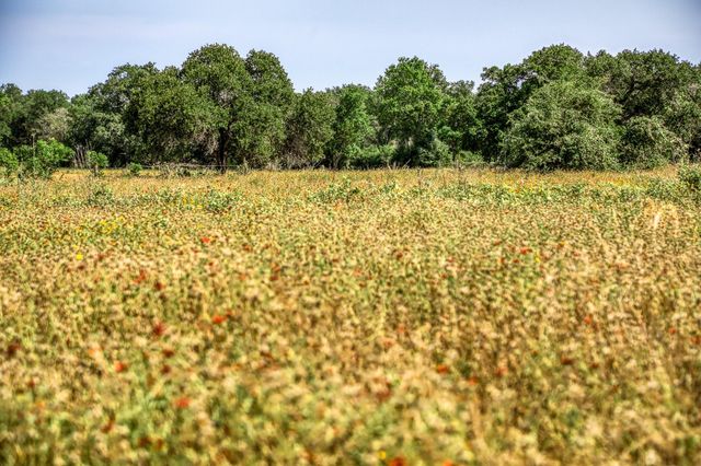 TBD (88.852 Acres) Smith RD, Bastrop, TX 78602