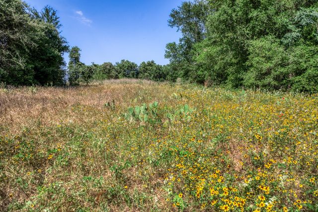 TBD (88.852 Acres) Smith RD, Bastrop, TX 78602