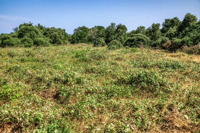 TBD (88.852 Acres) Smith RD, Bastrop, TX 78602