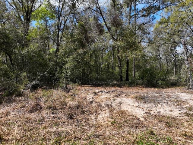 NE 154 TERRACE, Williston, FL 32696