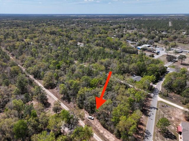 NE 154 TERRACE, Williston, FL 32696
