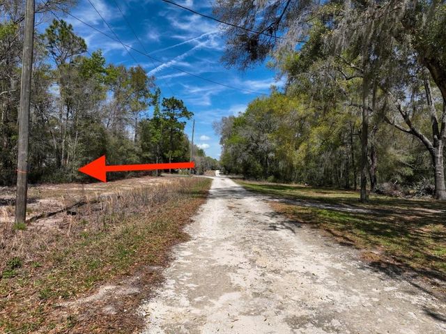 NE 154 TERRACE, Williston, FL 32696