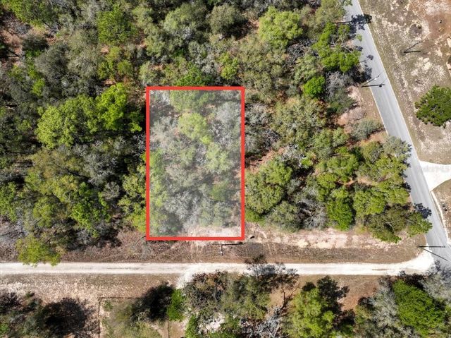 NE 154 TERRACE, Williston, FL 32696