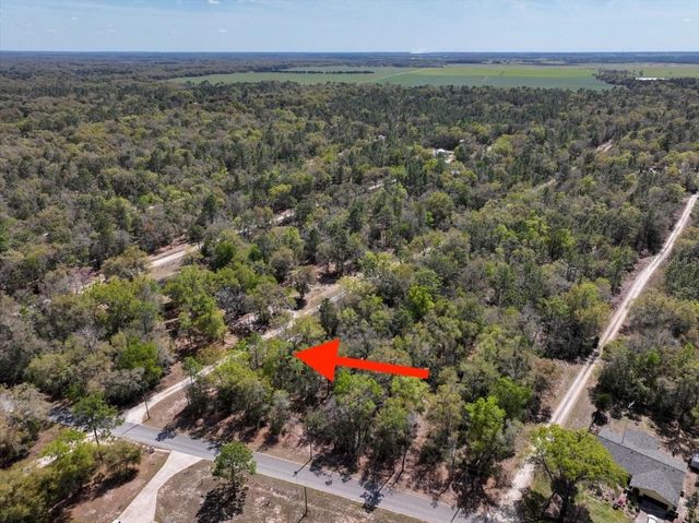 NE 154 TERRACE, Williston, FL 32696