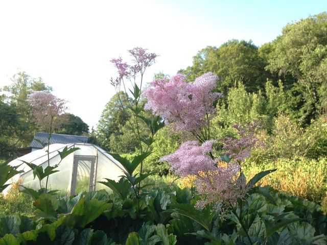 1325 Poor Farm Road, Washington, VT 05675