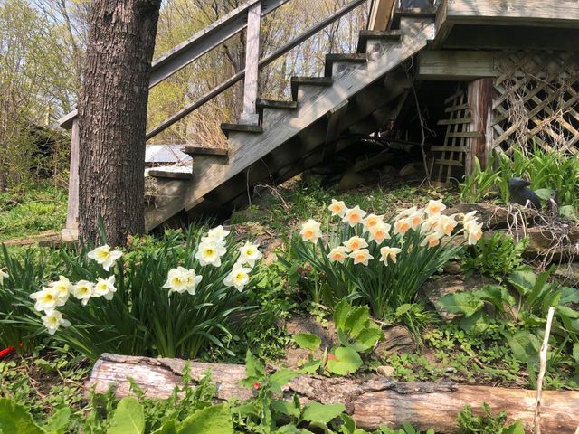 1325 Poor Farm Road, Washington, VT 05675