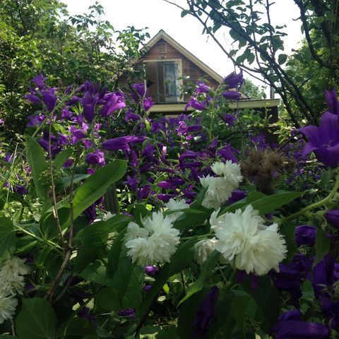 1325 Poor Farm Road, Washington, VT 05675