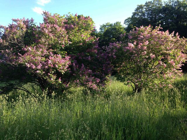 1325 Poor Farm Road, Washington, VT 05675