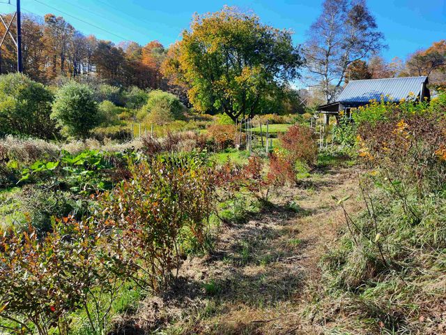 1325 Poor Farm Road, Washington, VT 05675