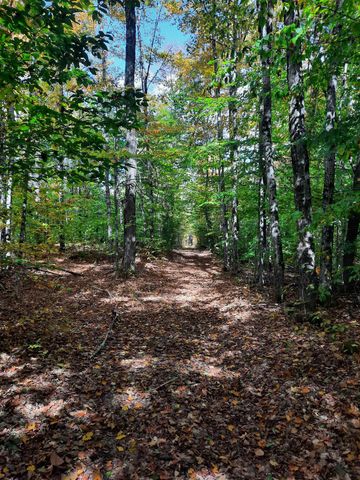 1325 Poor Farm Road, Washington, VT 05675