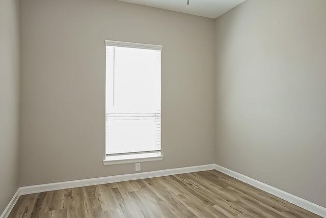 24246 Palomino Sage Trail, Katy, TX 77493