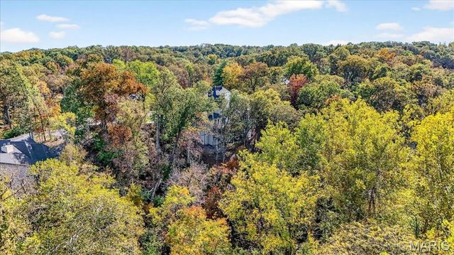 16907 Lewis Spring Farms Road, Wildwood, MO 63005