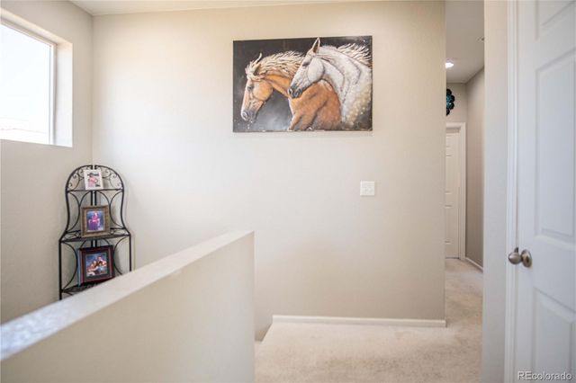 12364 Irma Drive, Thornton, CO 80241