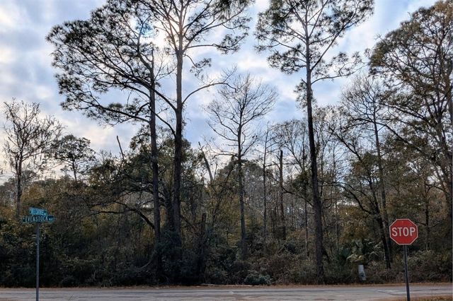 9076 N Evenstock Way, Crystal River, FL 34428