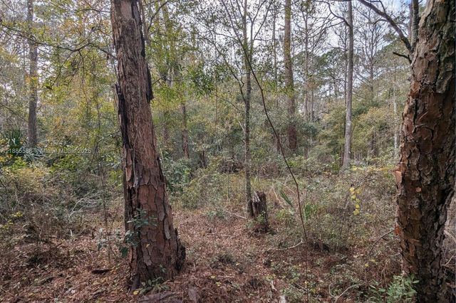 9076 N Evenstock Way, Crystal River, FL 34428