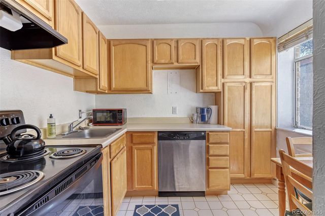 1130 N Pennsylvania Street 202, Denver, CO 80203