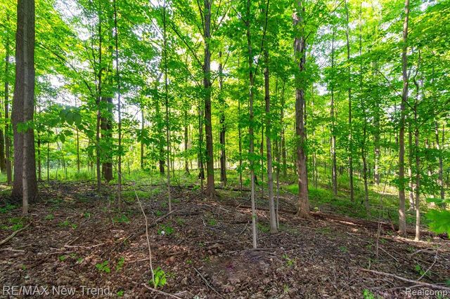 43159 Sandstone, Novi, MI 48377