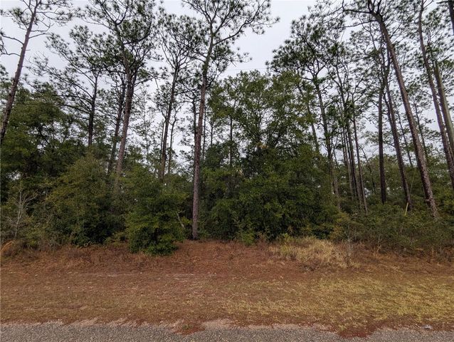 2737 W BLINK DRIVE, Citrus Springs, FL 34434