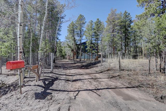 31556 Griffin Drive, Conifer, CO 80433