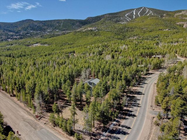 31556 Griffin Drive, Conifer, CO 80433
