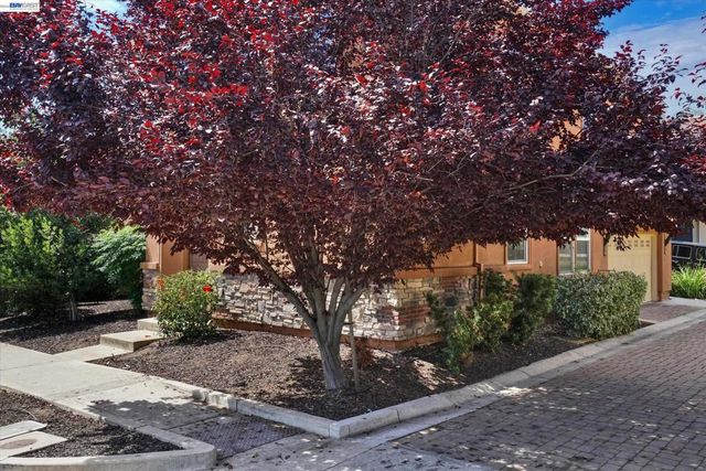 321 Cortona Way, Brentwood, CA 94513