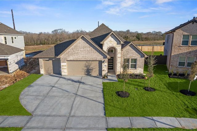 6219 Royal Palm Drive, Manvel, TX 77578