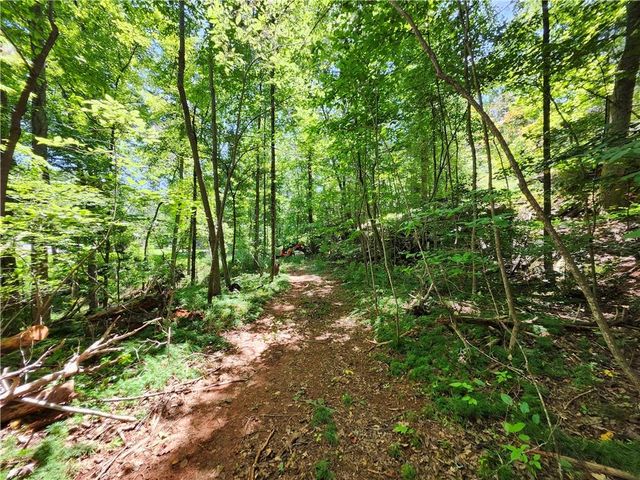 0 Deer Run Drive, Dahlonega, GA 30533