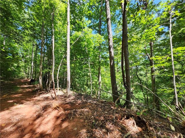 0 Deer Run Drive, Dahlonega, GA 30533