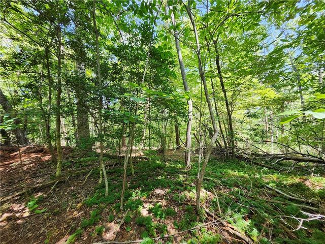 0 Deer Run Drive, Dahlonega, GA 30533