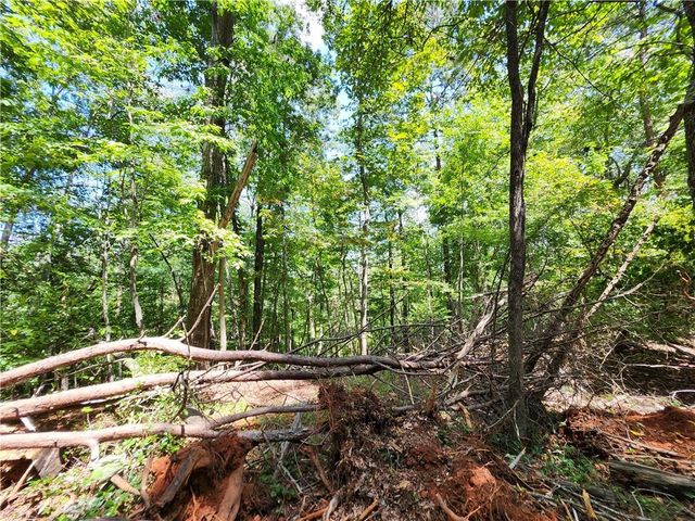 0 Deer Run Drive, Dahlonega, GA 30533