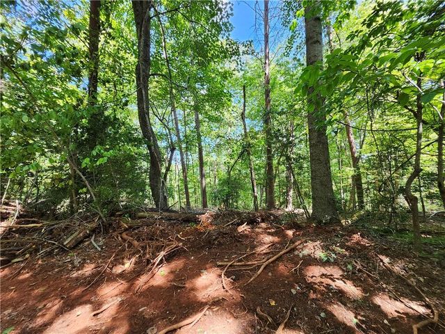 0 Deer Run Drive, Dahlonega, GA 30533