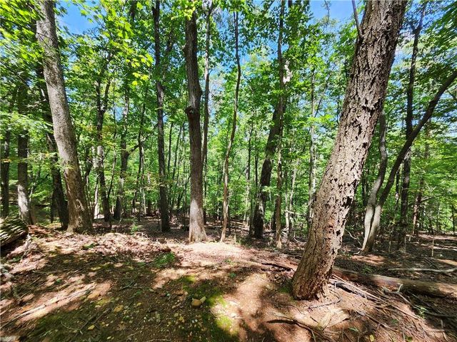 0 Deer Run Drive, Dahlonega, GA 30533