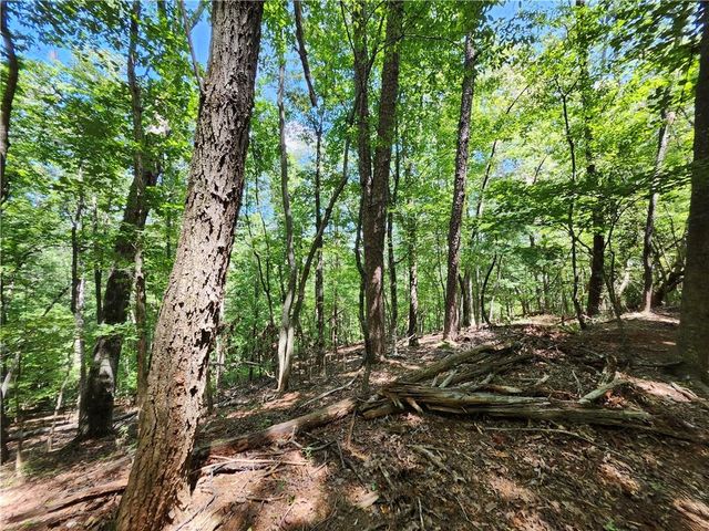0 Deer Run Drive, Dahlonega, GA 30533
