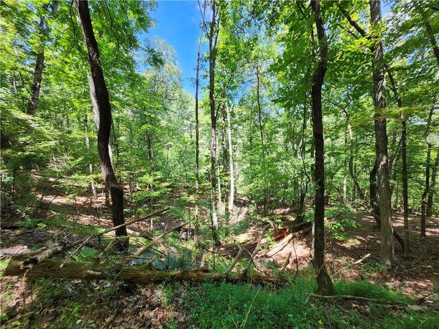 0 Deer Run Drive, Dahlonega, GA 30533