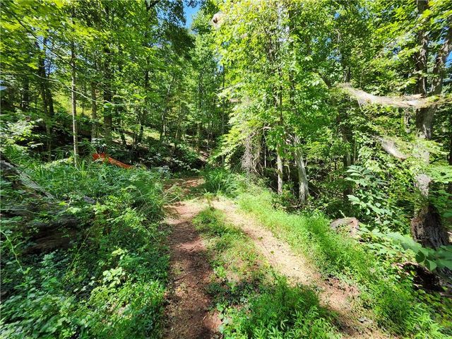 0 Deer Run Drive, Dahlonega, GA 30533